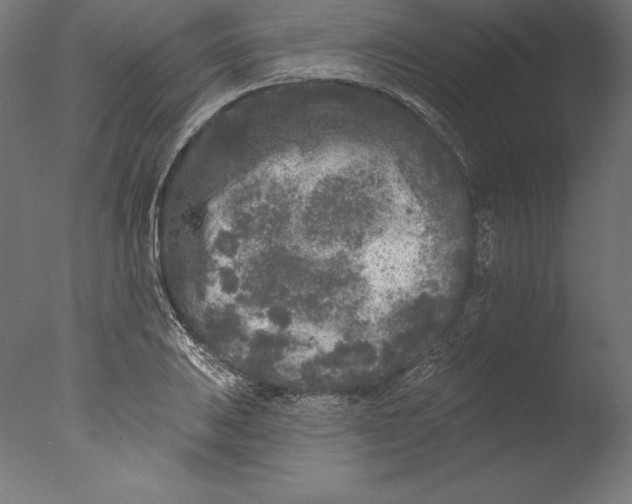 X0000076301031200610201541