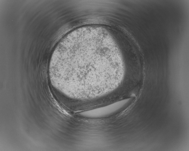 X0000076301033200610201541