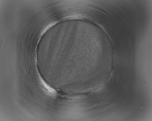 X0000076301034200610201541