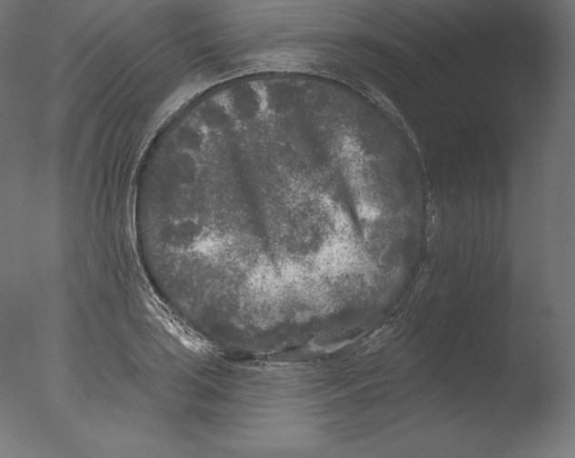 X0000076301035200610201541