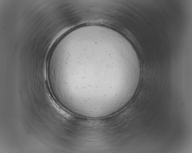 X0000076301036200610201541