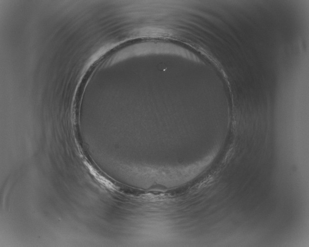 X0000076301037200610201541