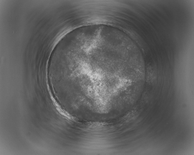 X0000076301039200610201541