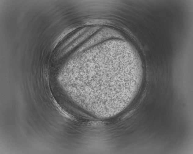 X0000076301041200610201541