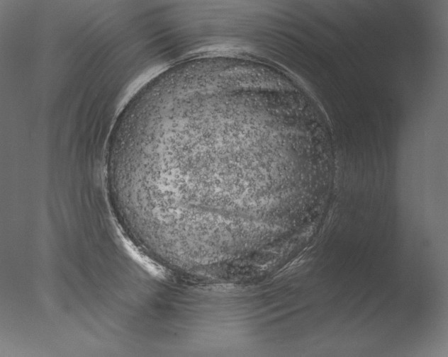 X0000076301042200610201541