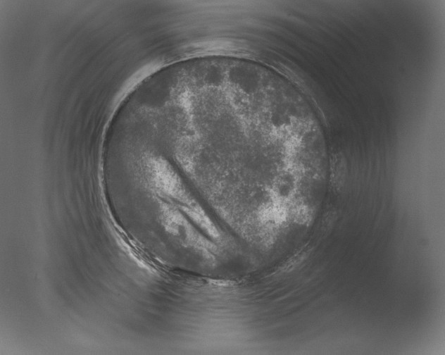 X0000076301043200610201541