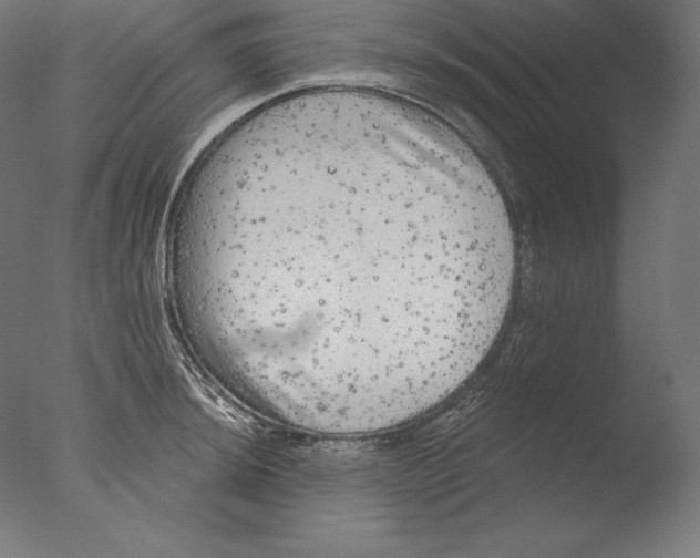 X0000076301044200610201541