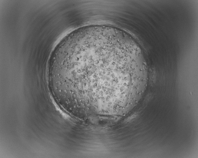 X0000076301046200610201541