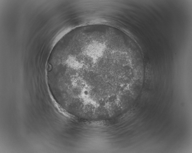 X0000076301047200610201541