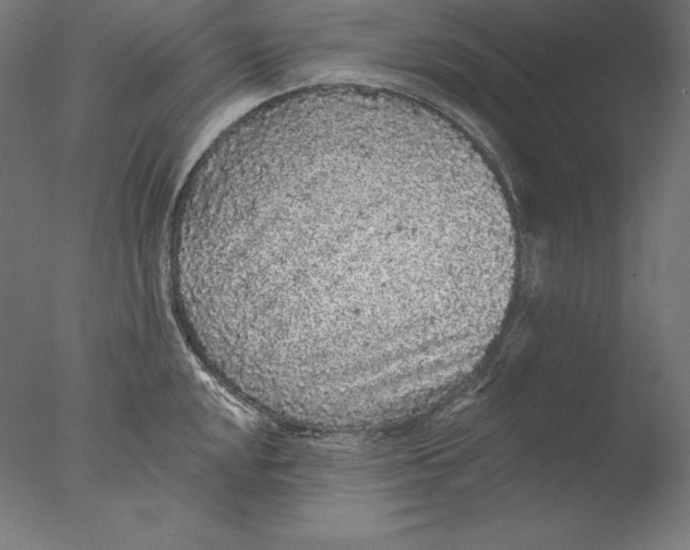 X0000076301048200610201541