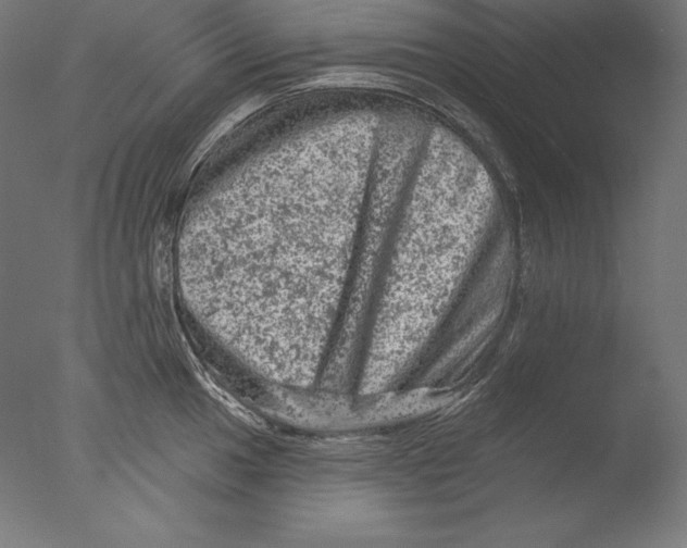 X0000076301049200610201541