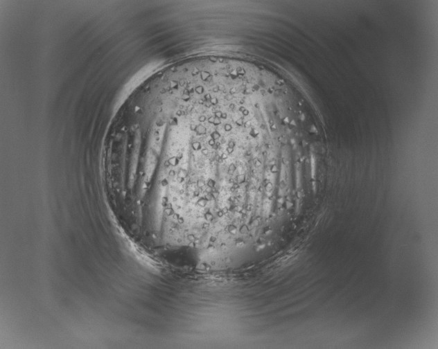 X0000076301050200610201541