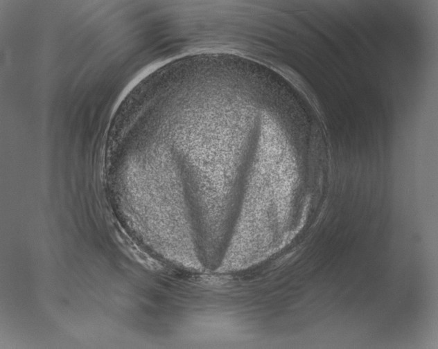 X0000076301052200610201541