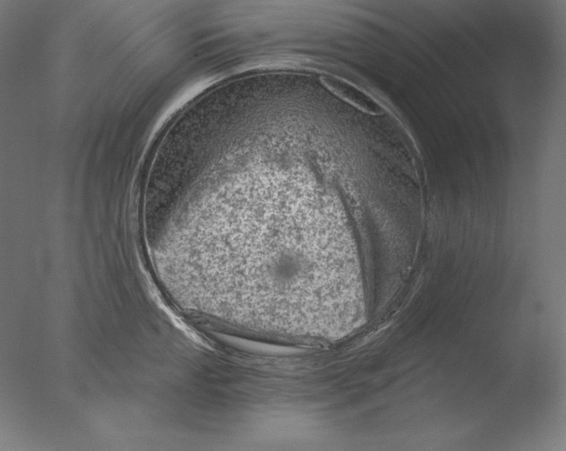 X0000076301053200610201541