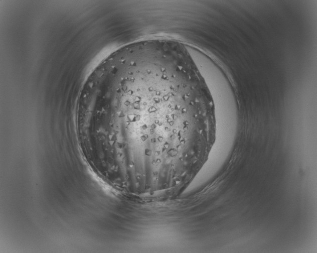 X0000076301054200610201541