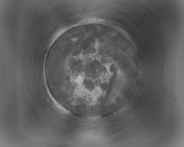 X0000076301055200610201541