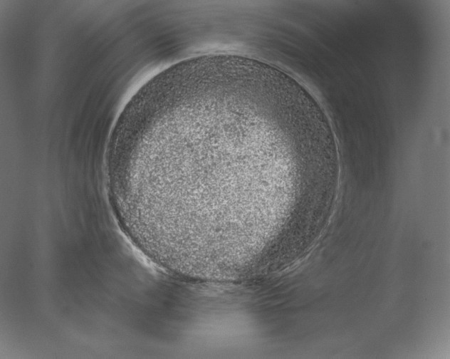 X0000076301056200610201541