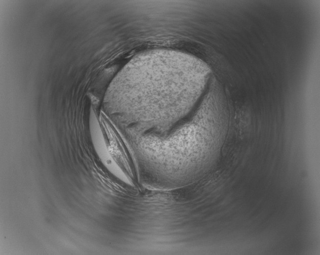 X0000076301058200610201540