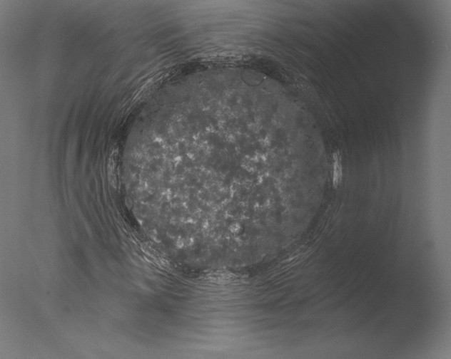 X0000076301059200610201540