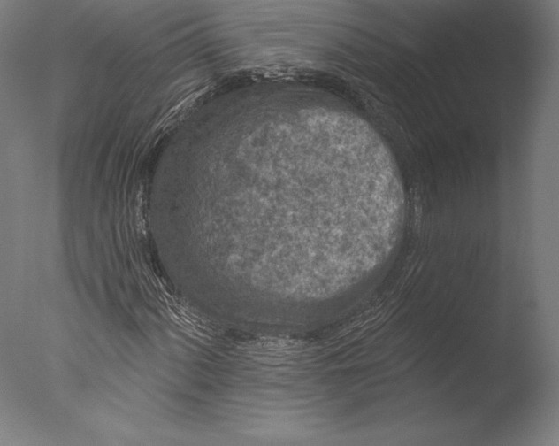 X0000076301060200610201540