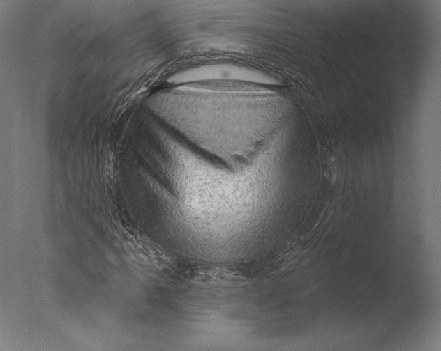 X0000076301061200610201540