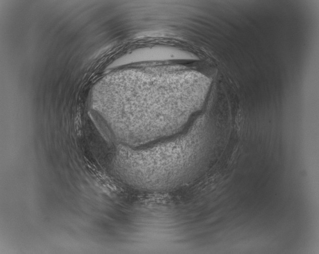 X0000076301062200610201540