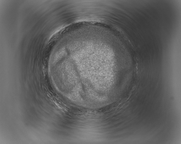 X0000076301064200610201540