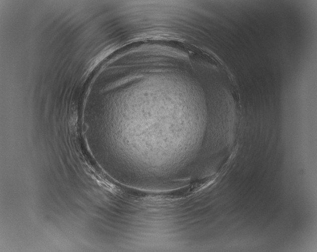 X0000076301065200610201539