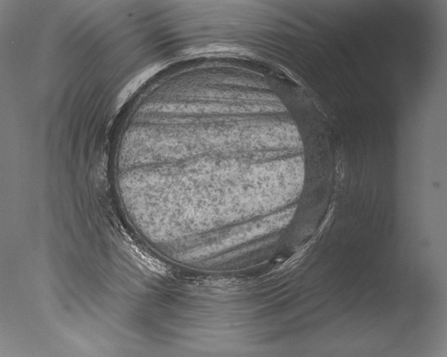 X0000076301066200610201539