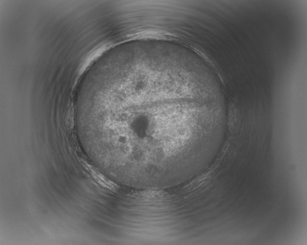 X0000076301067200610201539