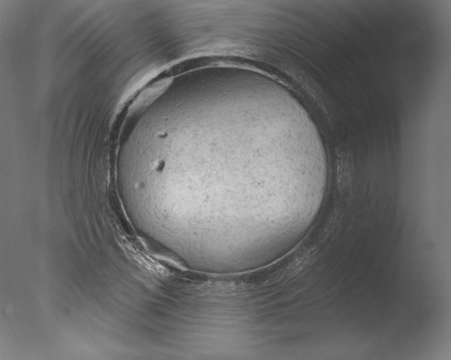 X0000076301069200610201539