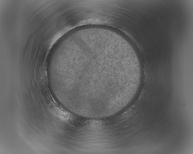 X0000076301070200610201538