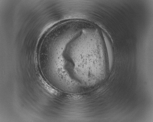 X0000076301072200610201538