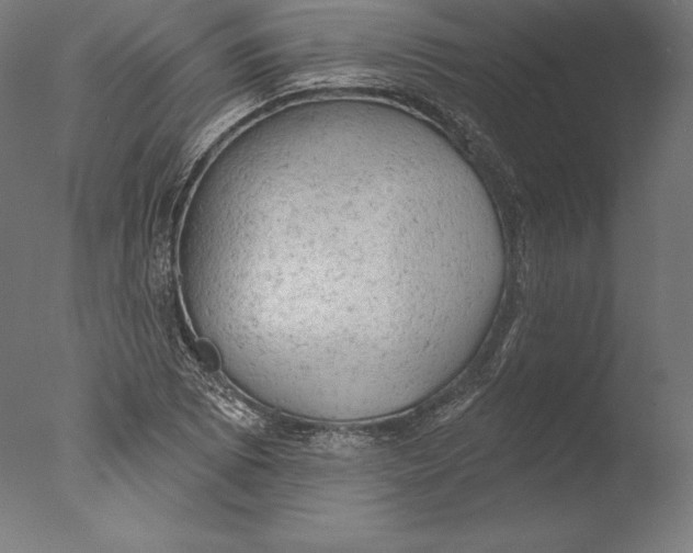 X0000076301073200610201538