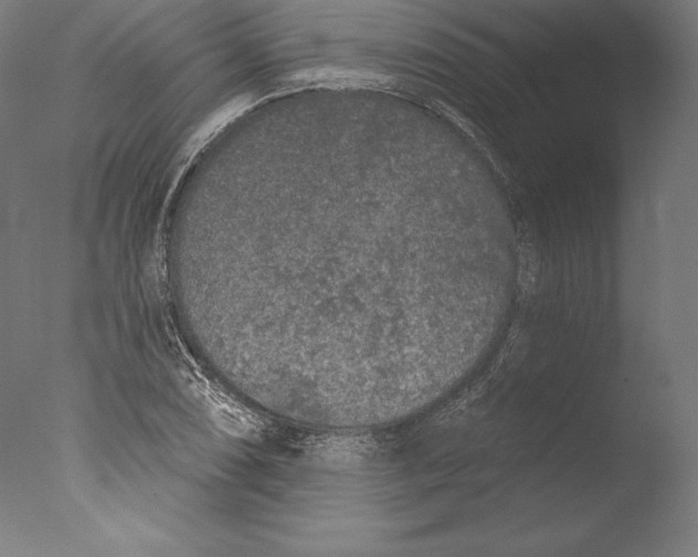 X0000076301074200610201538