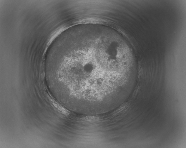 X0000076301075200610201538