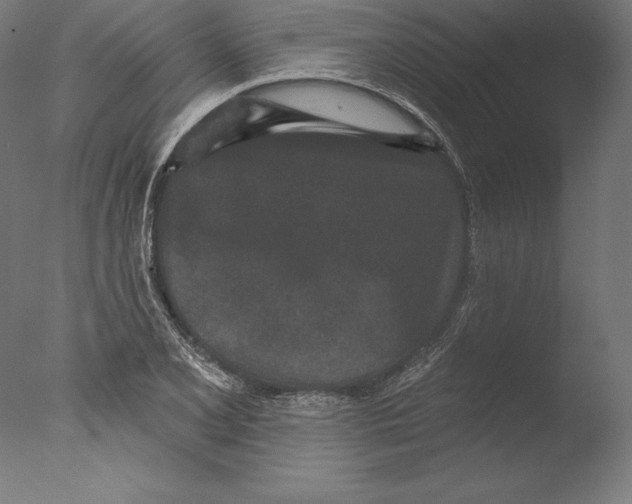 X0000076301077200610201538