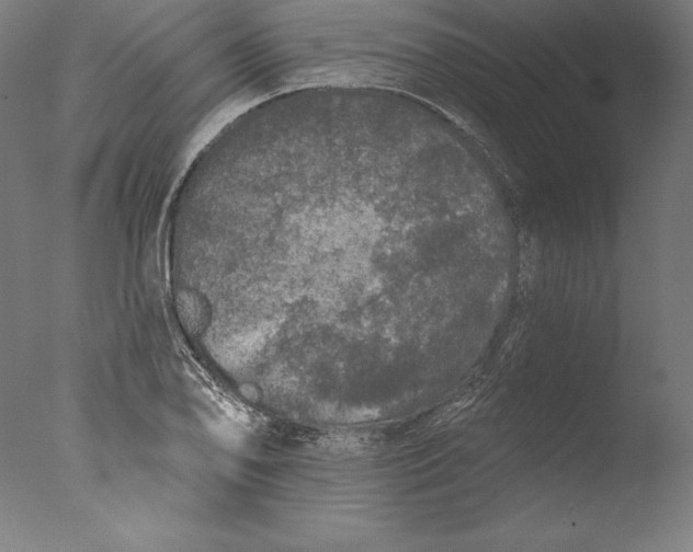 X0000076301078200610201538