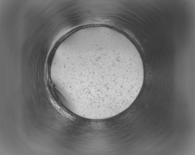 X0000076301080200610201538