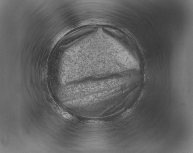 X0000076301081200610201538