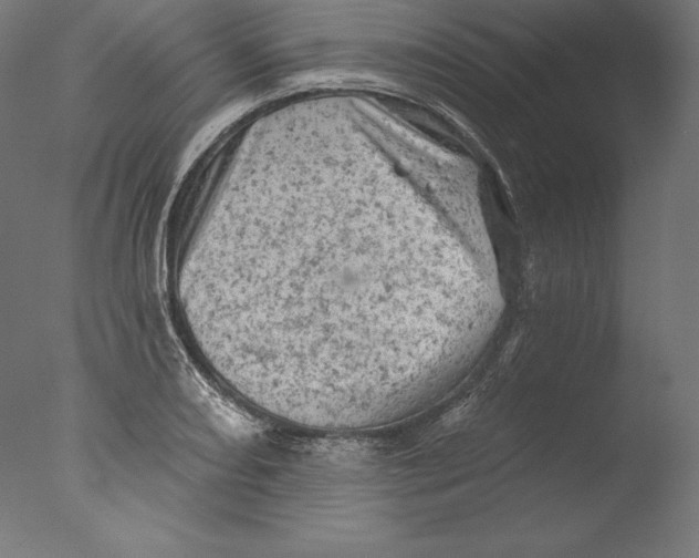 X0000076301082200610201538