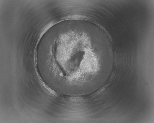 X0000076301083200610201538