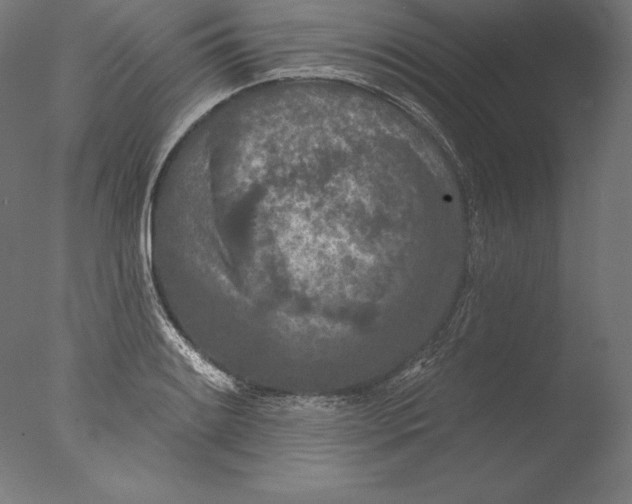 X0000076301084200610201538