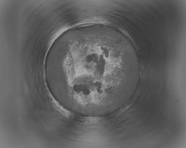 X0000076301087200610201537