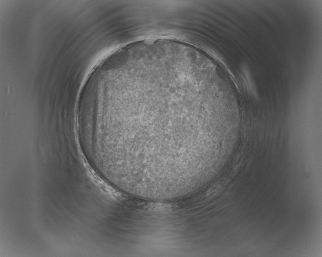 X0000076301088200610201537