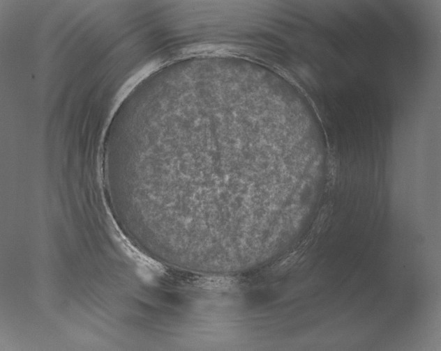 X0000076301090200610201537