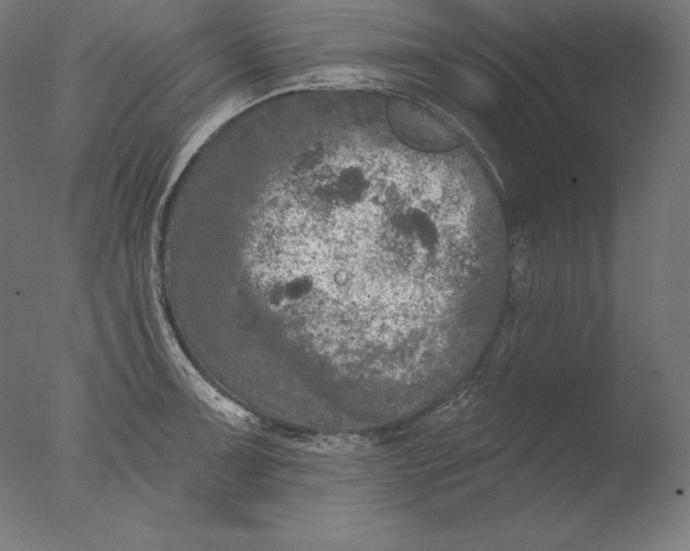 X0000076301091200610201537