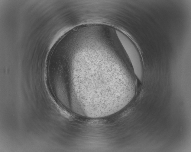 X0000076301093200610201537