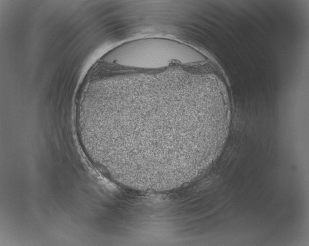 X0000076301096200610201537