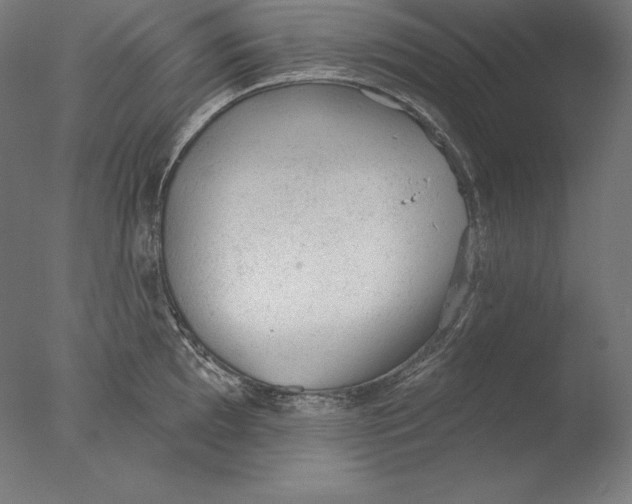 X0000076301097200610201537